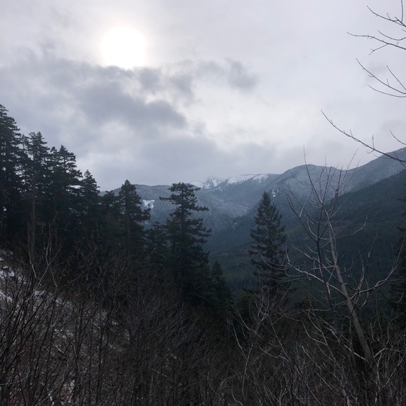 Meet your Posher, Linda - Picture 1 of 1